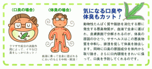 ササヘルス　説明③